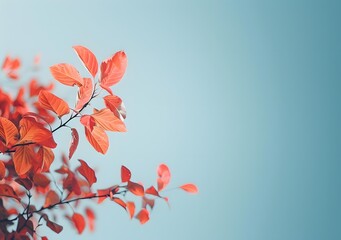 Red Leaves Against Blue Sky Autumn Nature Photography