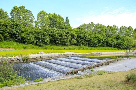 Daechi-dong, Gangnam-gu, Seoul, South Korea - May 26, 2022: Summer view of water stairs for fish way at Yangjaecheon Stream with trail and trees