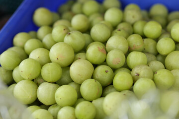 Indian gooseberry is piled up in a blue basket. Mixed size Indian gooseberry for sale at the market.