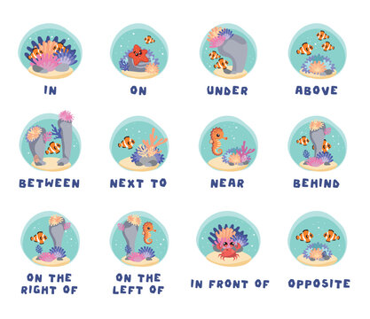 English prepositions on marine animals. Coral reef and fish.
