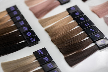 Set of hair samples with different natural color shade.  Close-up of hair color palette with a wide range of color swatches. Hair color samples choice chart for dying hair.  Selective focus.
