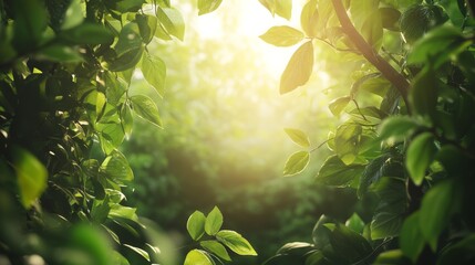 A sunlit backdrop framed by green leaves, creating a fresh concept for eco-conscious messaging with space for copy