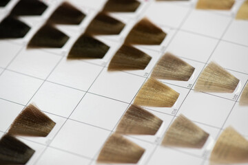 Set of hair samples with different natural blonde color shade.  Close-up of hair color palette with...