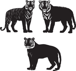 Sumatran Tigers Silhouette Vector isolated on white background