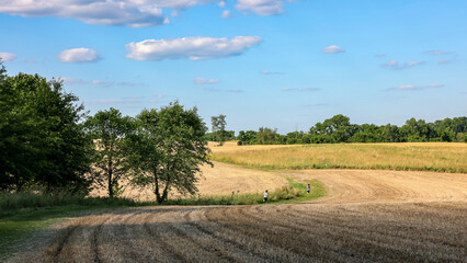 Fototapeta premium Natural Lands ChesLen Preserve in summer, near West Chester in the Philadelphia suburb, Pennsylvania