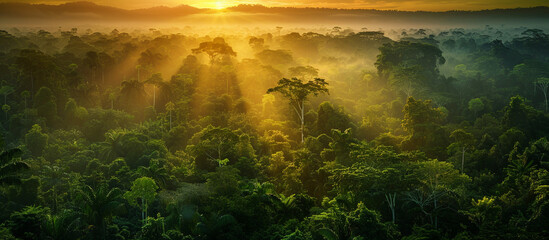 Stunning green Amazon forest landscape at sunrise, with vibrant foliage and golden light filtering through the trees, creating an ethereal atmosphere.