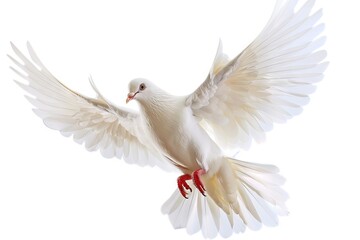 Flying white peace dove with spreading wings isolated on white background Generative AI