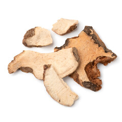 Dried tuckahoe, China root, roots close up isolated on white background