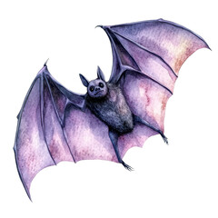 Fototapeta premium A beautifully illustrated bat in flight, showcasing its intricate wings and charming features, perfect for animal lovers and nature themes.