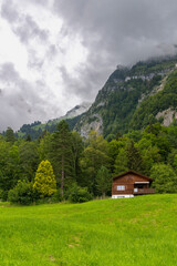 Holiday house on steep slope and rocky mountain in background. Cabin on green pasture and edge of forest with single tree in Rhein valley under Alpstein. peak with cloud hut, interesting cloudy day