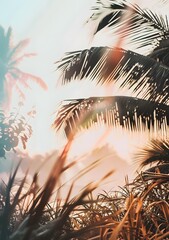 Palm Tree Leaves and Sunbeams at Sunset
