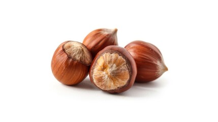 hazelnut isolated on white background, full depth of field. 