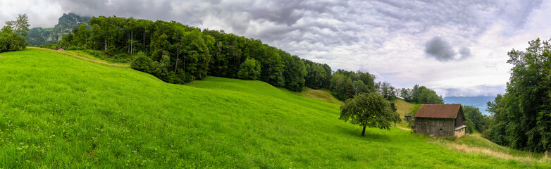 Panorama with old farmhouse on steep slope and rocky mountain in background. green pasture and forest with single tree in Rhein valley under Alpstein. peak with cloud hut, interesting cloudy day