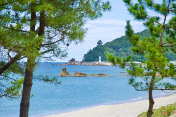 View of Chogok Port Lighthouse through Pine Trees