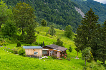 Holiday house on steep slope and rocky mountain in background. Cabin on green pasture and edge of forest with single tree in Rhein valley under Alpstein. peak with cloud hut, interesting cloudy day