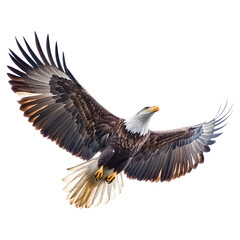 Flying Eagle Transparent Background