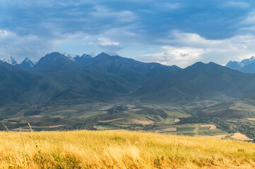 Fototapeta premium Dry yellow meadow grasses and view of mountain range.