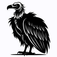 Vulture Black silhouette