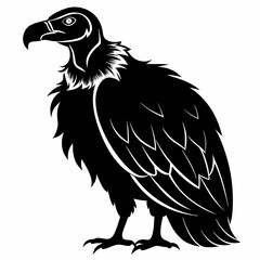 Vulture Black silhouette