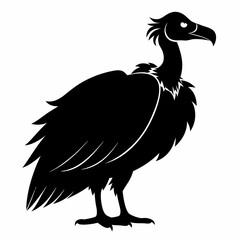 Vulture Black silhouette