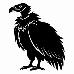 Vulture Black silhouette