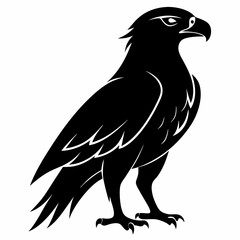 Hawk Black silhouette