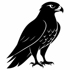 Hawk Black silhouette
