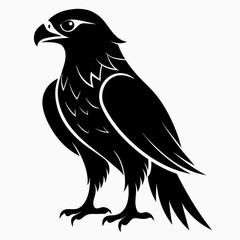 Hawk Black silhouette