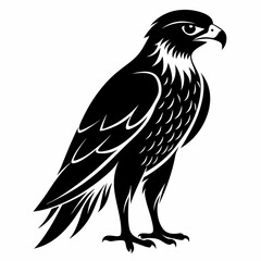 Fototapeta premium Hawk Black silhouette