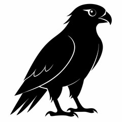 Hawk Black silhouette