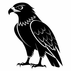 Hawk Black silhouette