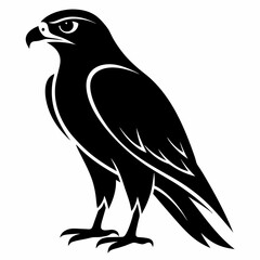 Hawk Black silhouette