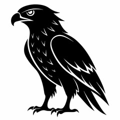 Hawk Black silhouette