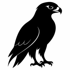 Hawk Black silhouette