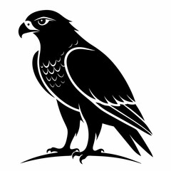 Hawk Black silhouette