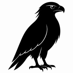 Hawk Black silhouette