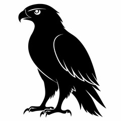Hawk Black silhouette