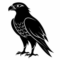 Hawk Black silhouette