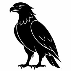 Fototapeta premium Hawk Black silhouette