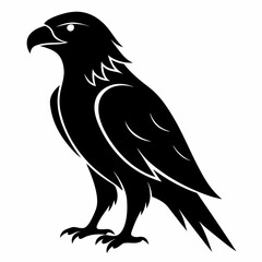 Hawk Black silhouette