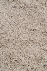 A yellow sand with bird tracks