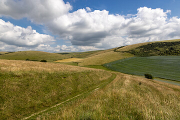 Naklejka premium A view over agricultural fields in the South Downs, on a sunny summer's day