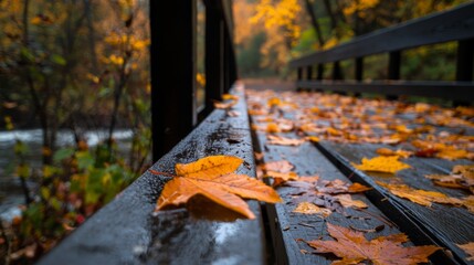  A tight shot of a bench with scattered leaves beneath it, and a flowing river in the background