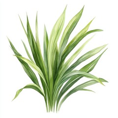 Watercolor Green Leaves Illustration.