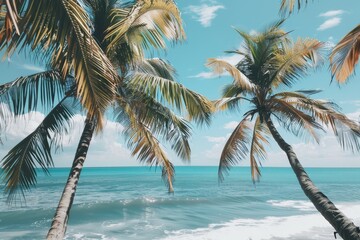 Fototapeta na wymiar Palm trees stand tall on sandy beach with ocean waves in background, Palm trees swaying in the ocean breeze