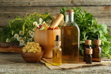 Tinctures in bottles, medicinal herbs and mortar with pestle on wooden table