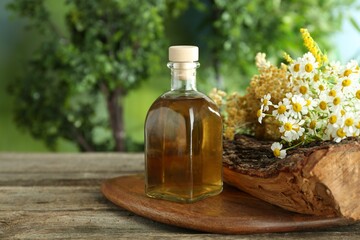 Tincture in bottle and medicinal herbs on wooden table, space for text