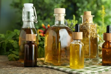 Different tinctures in bottles and medicinal herbs on wooden table