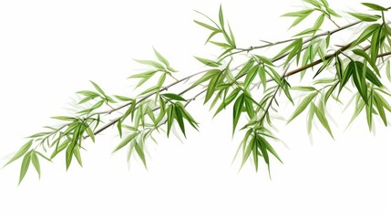 Naklejka premium Bamboo plant isolated on a white background. Part of bamboo stems with leaves. Neural network ai generated art