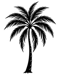 Obraz premium plam tree eps vector bundle 